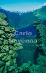 Clicca per ingrandire