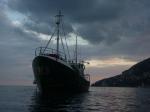 Clicca per ingrandire