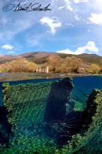 Clicca per ingrandire